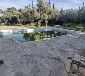 Μονοκατοικία 503τ.μ. προς πώληση φωτογραφία 8