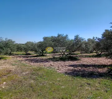 Residential 4800m<sup>2</sup> for sale photo 5
