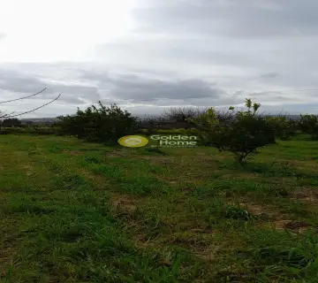 Residential 432m<sup>2</sup> for sale photo 4