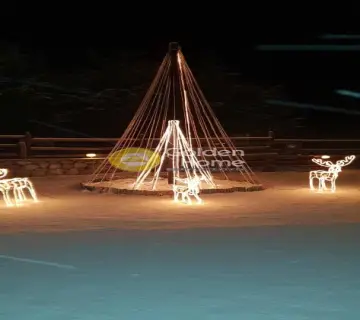 Golden Home Property Image