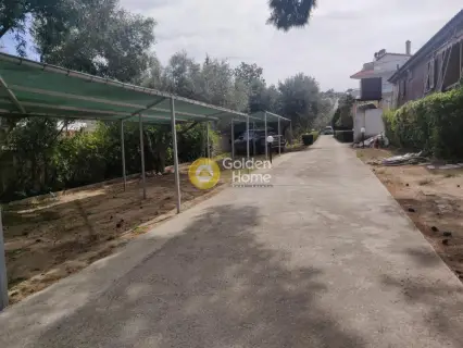 Building 520m<sup>2</sup> for sale photo 15