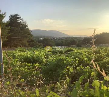 Αγροτεμάχιο 6063τ.μ. προς πώληση φωτογραφία 3730736