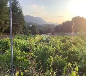 Αγροτεμάχιο 6063τ.μ. προς πώληση φωτογραφία 3730736