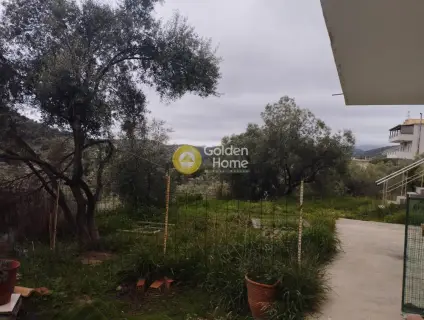 房子 370m<sup>2</sup> for sale photo 35