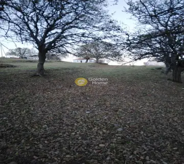 Professional Plot 3584m<sup>2</sup> for sale photo 15