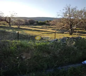 Professional Plot 3584m<sup>2</sup> for sale photo 29