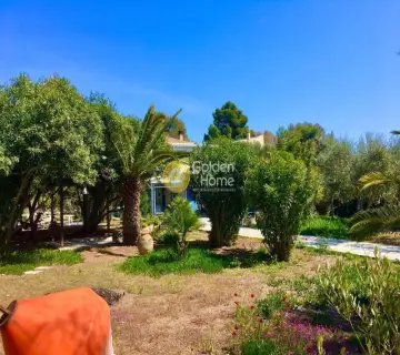 Residential 2445m<sup>2</sup> for sale photo 3597286