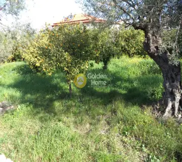 Parcel 543m<sup>2</sup> for sale photo 3601009