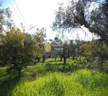 Parcel 1518m<sup>2</sup> for sale photo 3601263