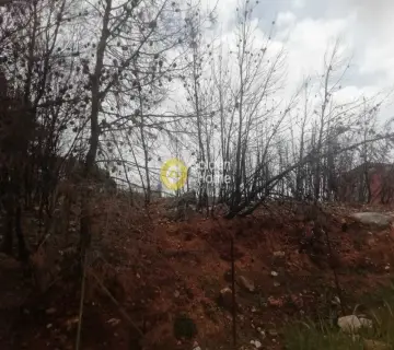 Οικιστικό 495τ.μ. προς πώληση φωτογραφία 3604825