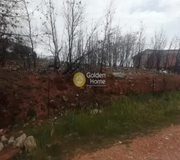 Οικιστικό 495τ.μ. προς πώληση φωτογραφία 3604825
