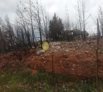 Οικιστικό 495τ.μ. προς πώληση φωτογραφία 3604825