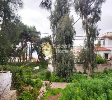 Μονοκατοικία 450τ.μ. προς πώληση φωτογραφία 3