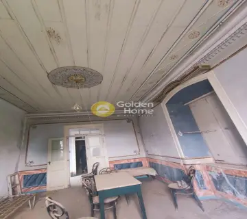 Μονοκατοικία 450τ.μ. προς πώληση φωτογραφία 4