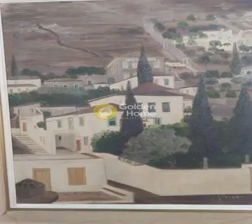 Μονοκατοικία 450τ.μ. προς πώληση φωτογραφία 13