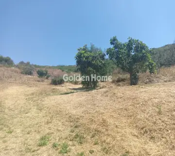 Residential 4095m<sup>2</sup> for sale photo 4855815