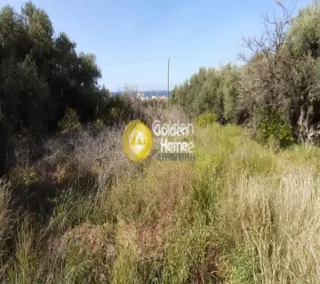 Residential 570m<sup>2</sup> for sale photo 3607625