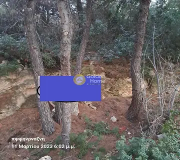 Οικιστικό 1019τ.μ. προς πώληση φωτογραφία 1