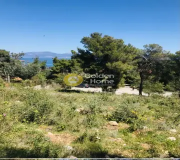 Οικιστικό 1060τ.μ. προς πώληση φωτογραφία 3618975