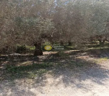Parcel 500m<sup>2</sup> for sale photo 3614630
