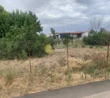 Residential 1599m<sup>2</sup> for sale photo 3