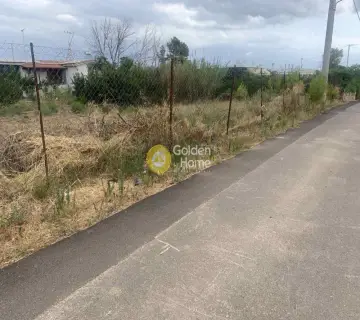 Residential 1599m<sup>2</sup> for sale photo 1