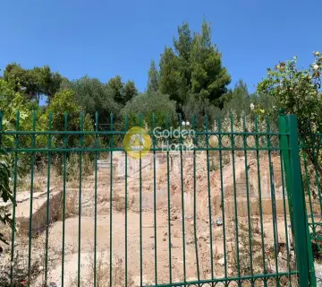 Residential 1623m<sup>2</sup> for sale photo 5