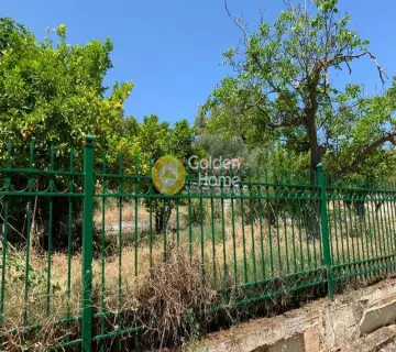 Residential 1623m<sup>2</sup> for sale photo 4