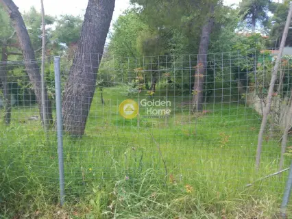 Residential 810m<sup>2</sup> for sale photo 3621483