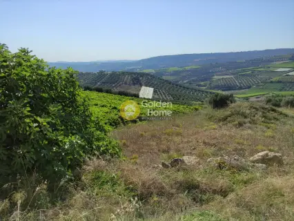Residential 819m<sup>2</sup> for sale photo 2
