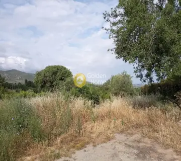Residential 501m<sup>2</sup> for sale photo 1