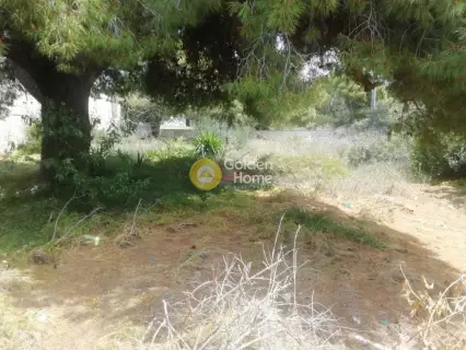 Οικιστικό 496τ.μ. προς πώληση φωτογραφία 3632439