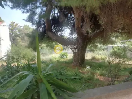 Οικιστικό 496τ.μ. προς πώληση φωτογραφία 3632441
