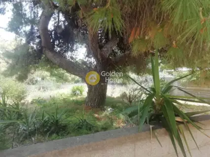 Οικιστικό 496τ.μ. προς πώληση φωτογραφία 3632443
