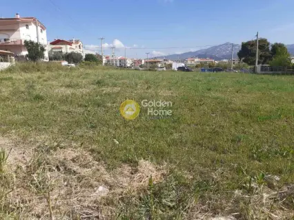 住宅 950m<sup>2</sup> for sale photo 5