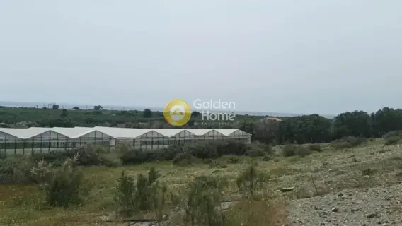 Οικιστικό 10814τ.μ. προς πώληση φωτογραφία 3623144