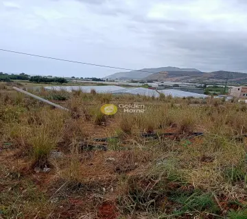 Area 1000m<sup>2</sup> for sale photo 3629606