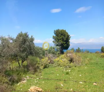 Οικιστικό 4000τ.μ. προς πώληση φωτογραφία 1