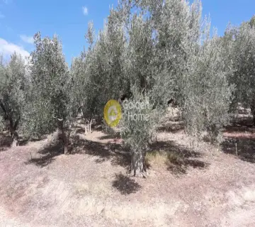 Parcel 1435m<sup>2</sup> for sale photo 1