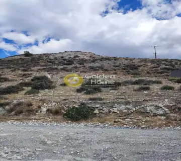 Area 4100m<sup>2</sup> for sale photo 7