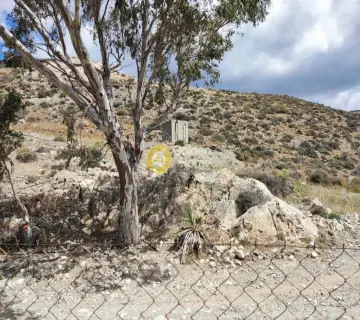Area 4100m<sup>2</sup> for sale photo 11