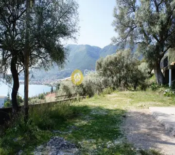 Residential 385m<sup>2</sup> for sale photo 3
