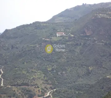 独立复式小屋 80m<sup>2</sup> for sale photo 2