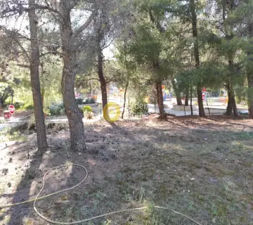 Οικιστικό 558τ.μ. προς πώληση φωτογραφία 1