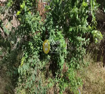 Οικιστικό 280τ.μ. προς πώληση φωτογραφία 1