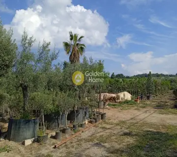 Επαγγελ. Οικόπεδο 4579τ.μ. προς πώληση φωτογραφία 3632785