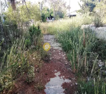 Οικιστικό 1265τ.μ. προς πώληση φωτογραφία 2