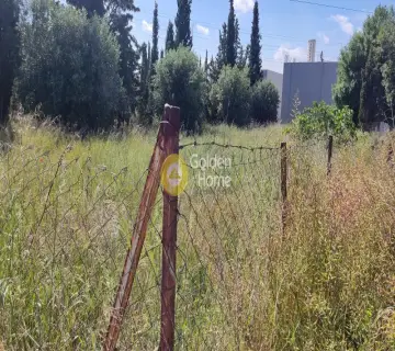 Οικιστικό 750τ.μ. προς πώληση φωτογραφία 3636163