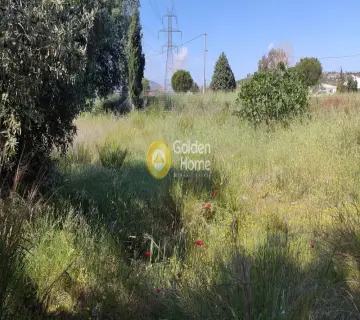 Οικιστικό 750τ.μ. προς πώληση φωτογραφία 3636165
