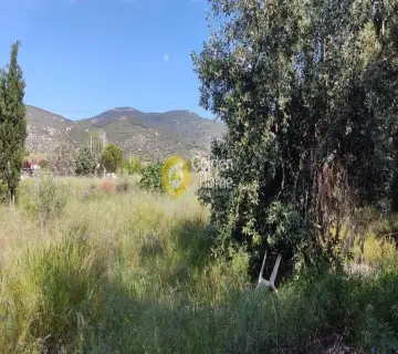 Οικιστικό 750τ.μ. προς πώληση φωτογραφία 3636172